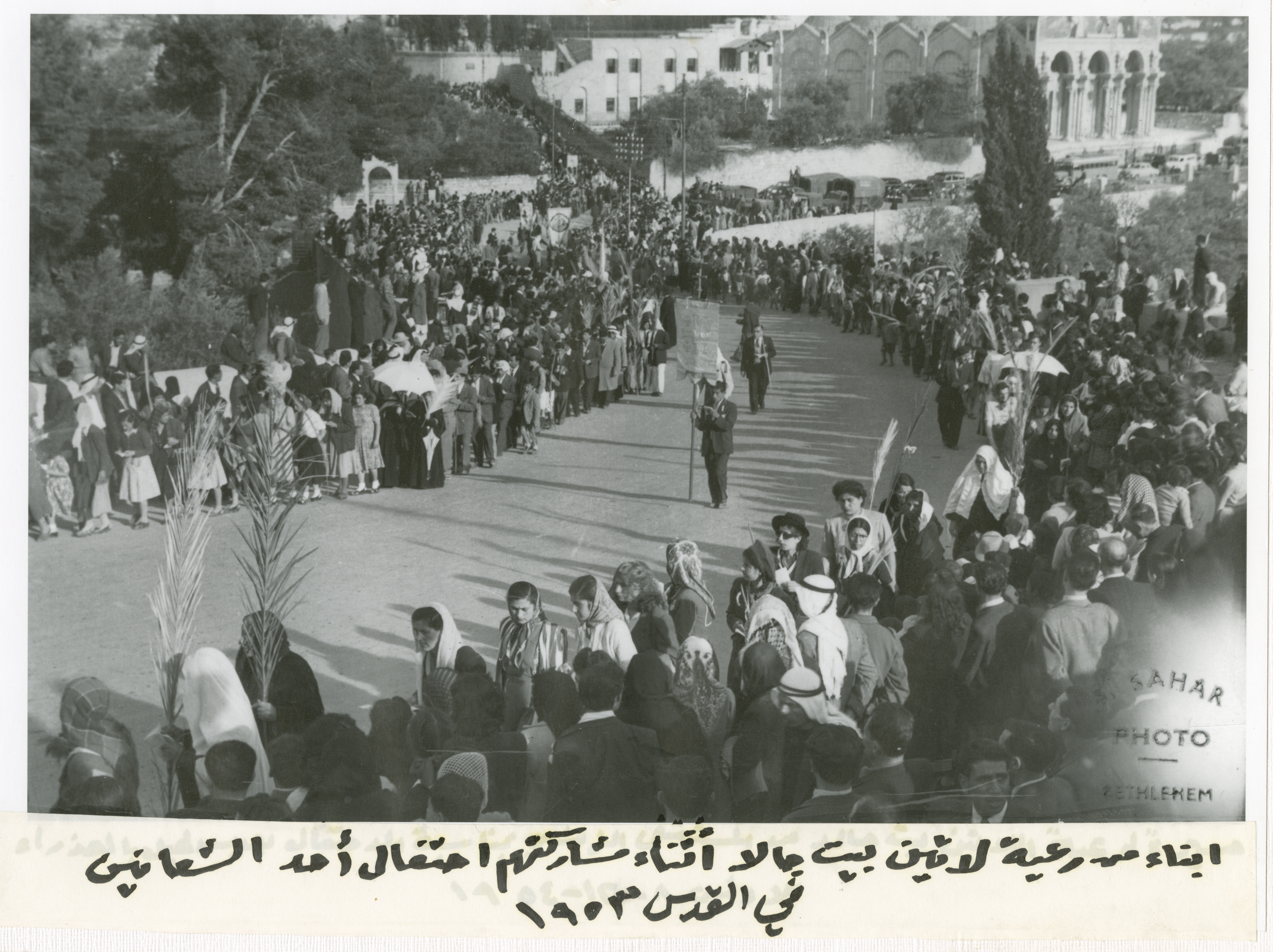 أحد الشعانين