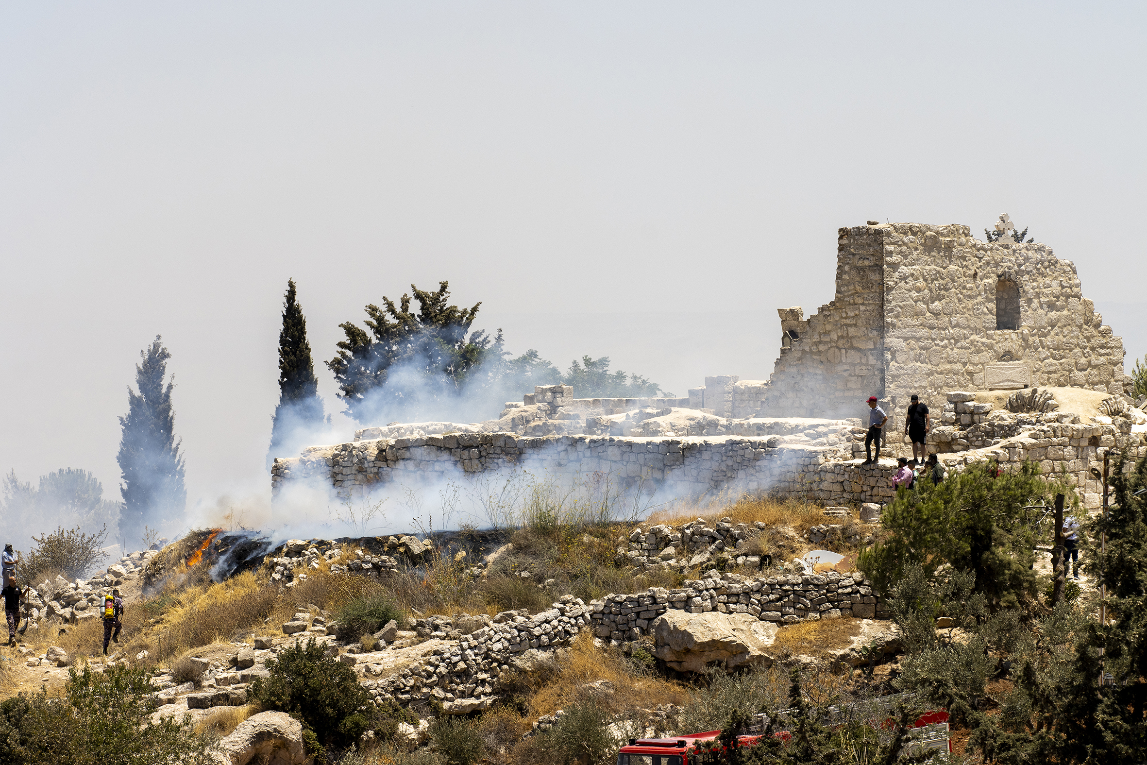 Between the olive trees and the residents' homes, settlers grazing cattle without any deterrence threaten the livelihoods of the people and desecrate the sanctity of the land.