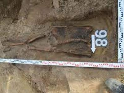 مقبرة في بولندا