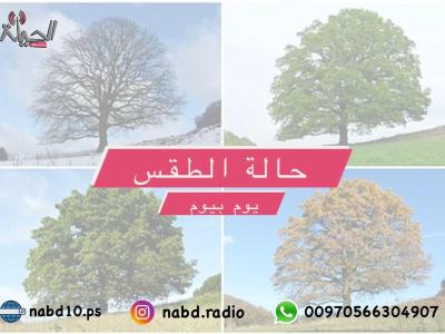 حالة الطقس