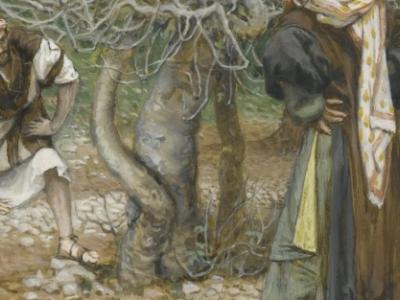 البطريركية اللاتينية