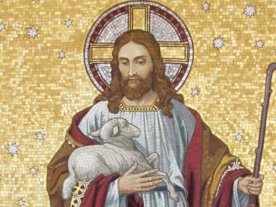 الكاردينال