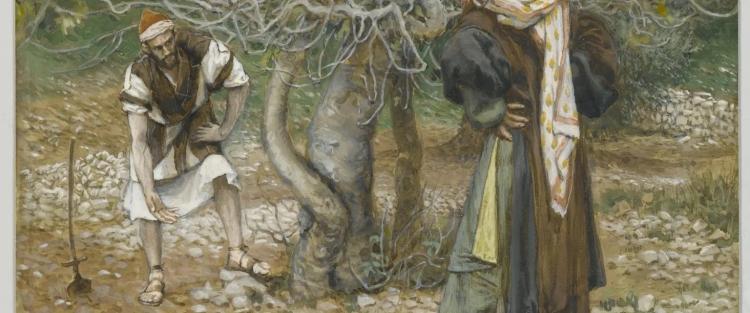 البطريركية اللاتينية