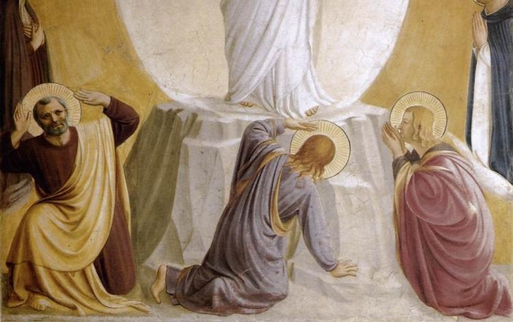 البطريركية اللاتينية