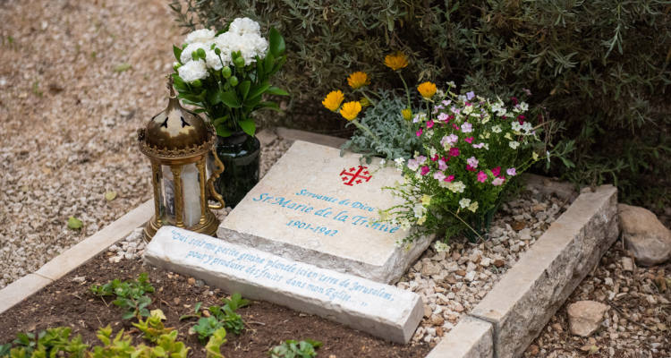 البطريركية اللاتينية